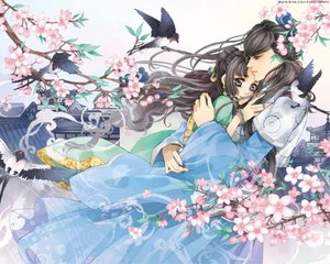 深入了解 小蓝鸟网页版